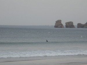 DSCN3908